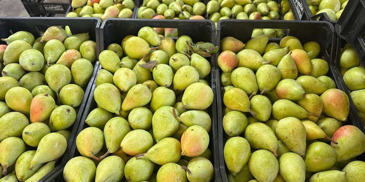 Pere Coscia - Italia, cal. 50+, prezzo 1,50-1,70 euro/chilo